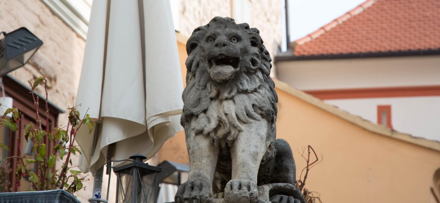 El leon en la ciudad alta